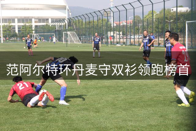 范阿尔特环丹麦守双衫领跑榜首